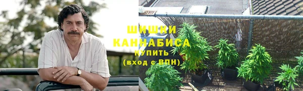 альфа пвп Снежногорск