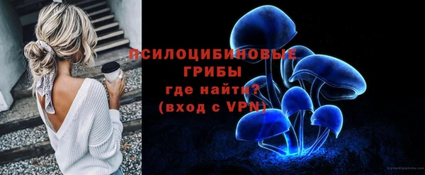 мдпв Мосальск