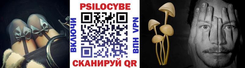 закладки  Семёнов  Галлюциногенные грибы Psilocybine cubensis 